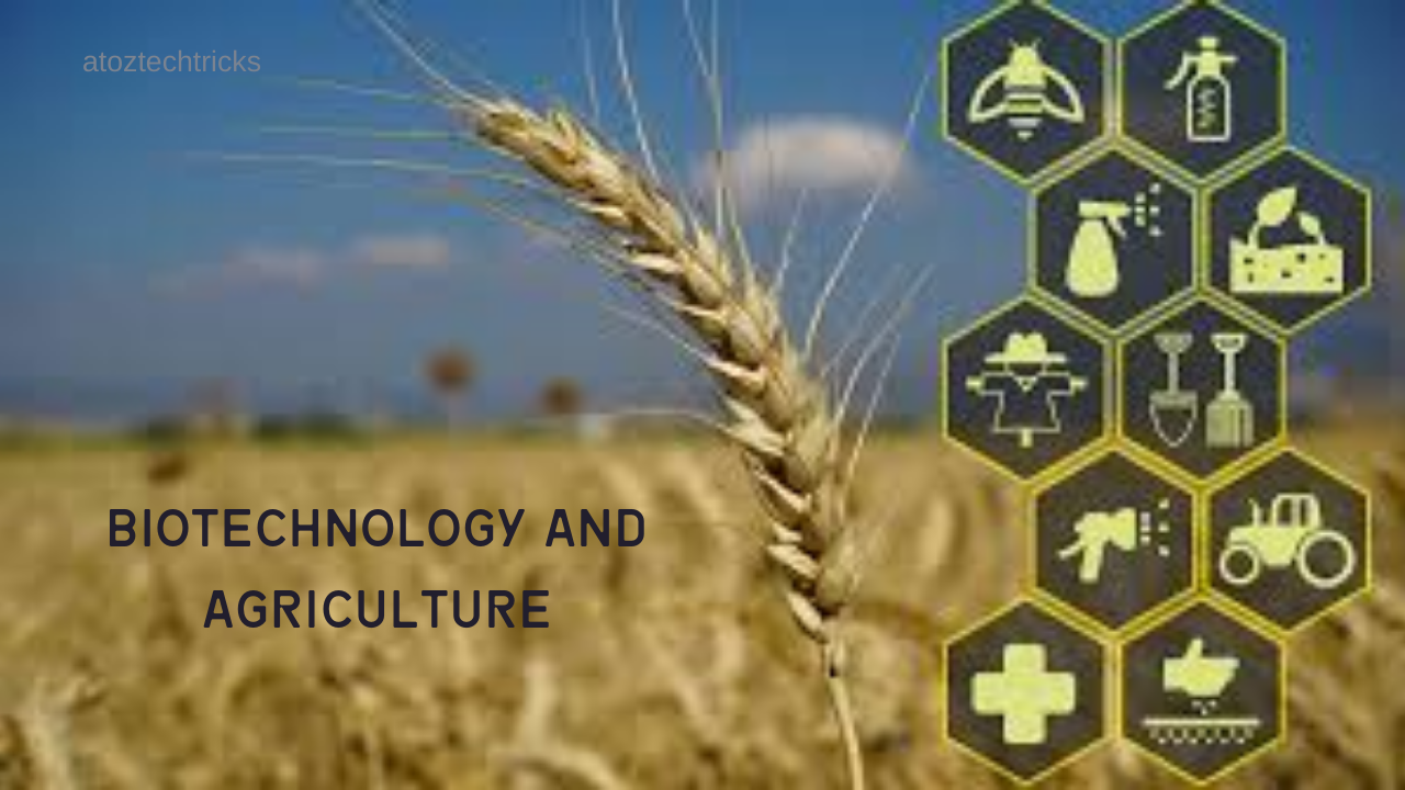 Biotechnology and Agriculture: Transforming the Future of Food Production