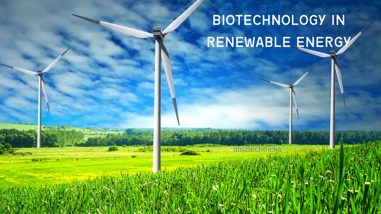 Potential for Biotechnology in Renewable Energy Production