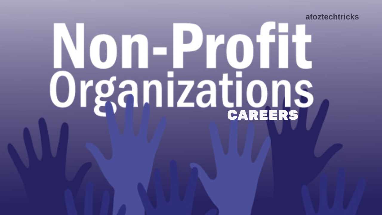 Non-Profit Organization Careers